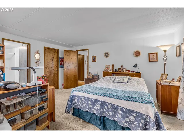 a bedroom with a bed and dresser