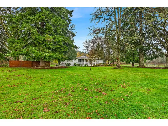 a view of green field with tree in the background