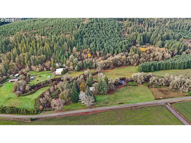a black and white photo of a garden