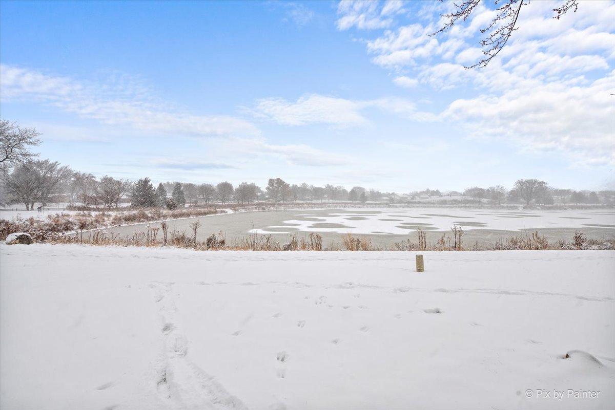 215 Lakeshore Lane Bloomingdale, IL 60108 - Photo 32 of 32