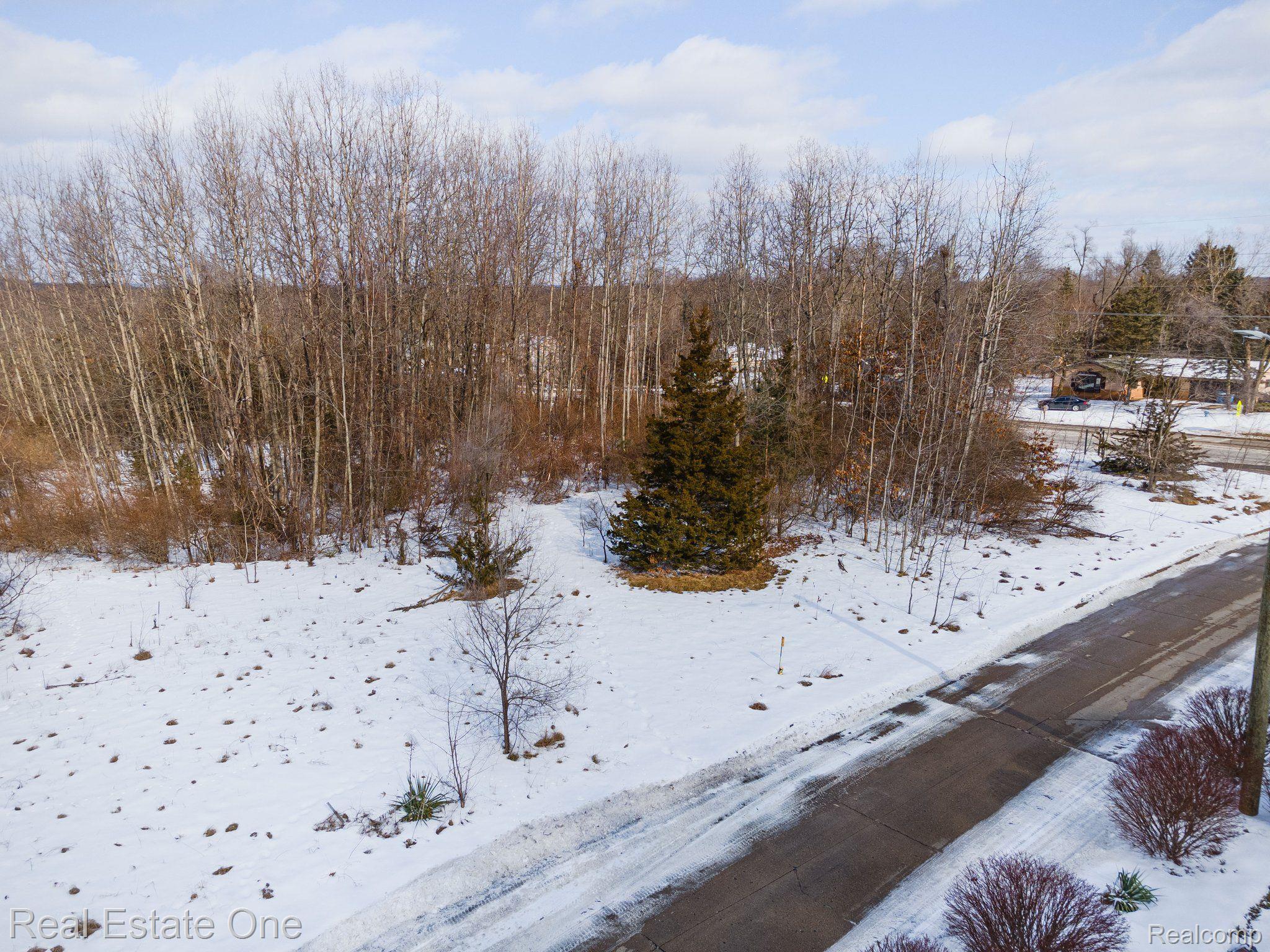 0 Williams Lake Road White Lake, MI 48386 - Photo 8 of 13