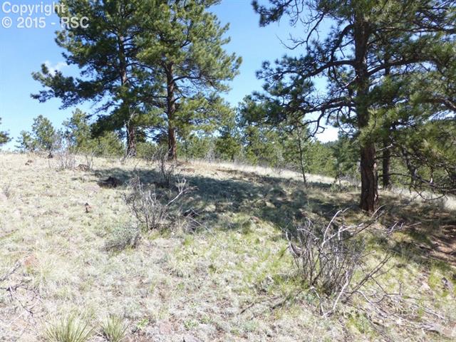 27 High Pasture Road Florissant, CO 80816 - Photo 5 of 9