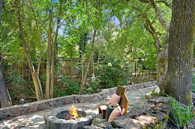 a view of a backyard with plants and a patio