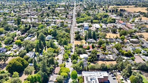 an aerial view of residential houses with outdoor space and trees