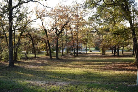 a building with trees in the background
