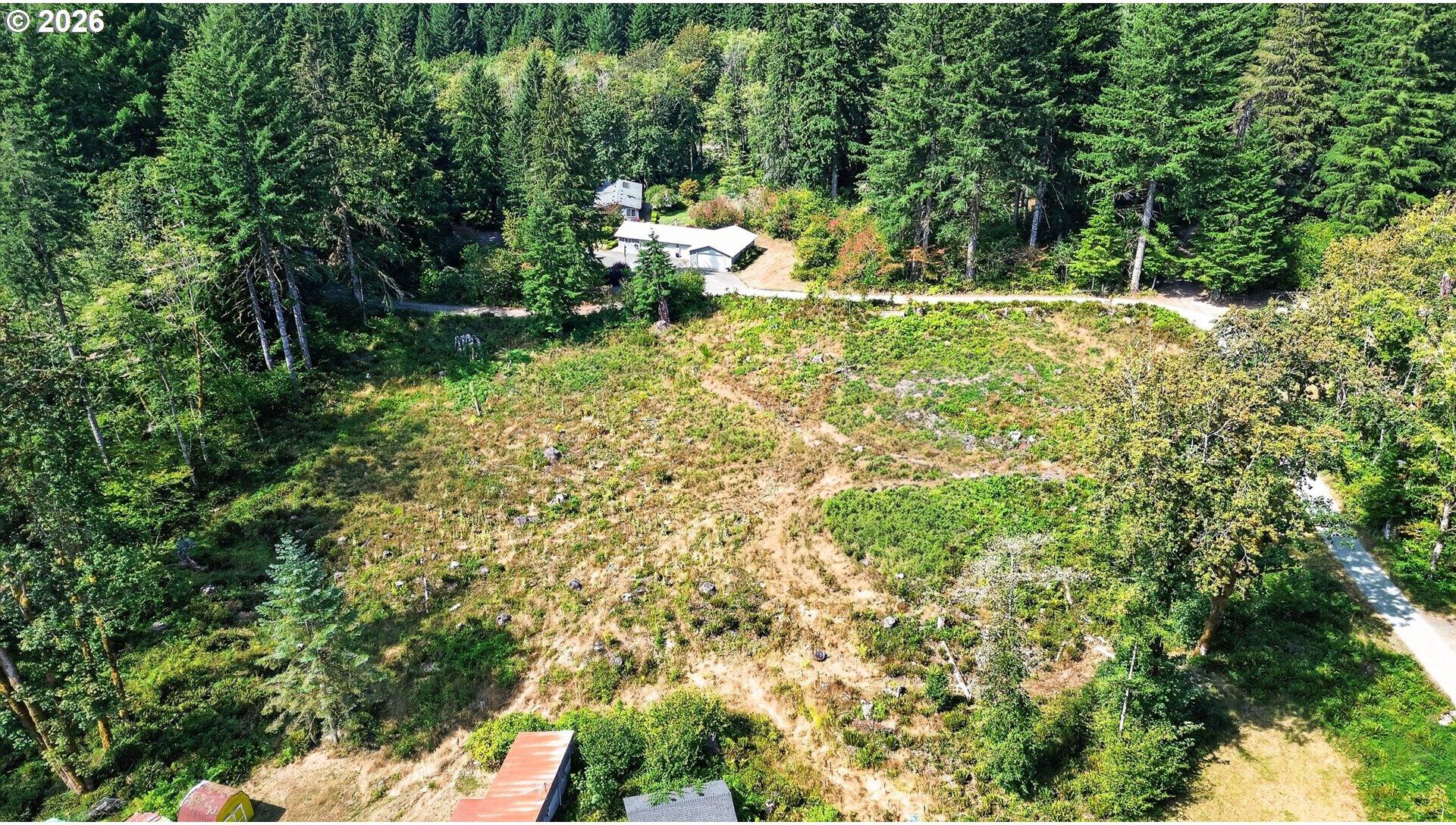 0 Dog Creek Road Cougar, WA 98616 - Photo 1 of 17 Gallery Image 1