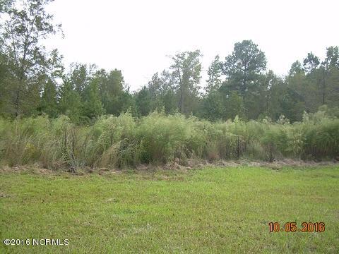 10771 Ruth Vinson Road Autryville, NC 28318 - Photo 1 of 10 additional land