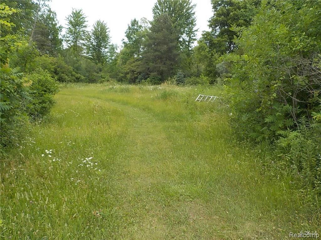 14184 McCaslin Lake Road Linden, MI 48451 - Photo 3 of 29 DSCN8925.JPG