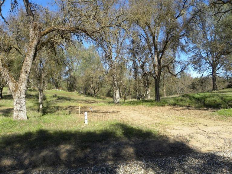 0 Buckeye Road Mariposa, CA 95338 - Photo 12 of 20 Gallery Image 12