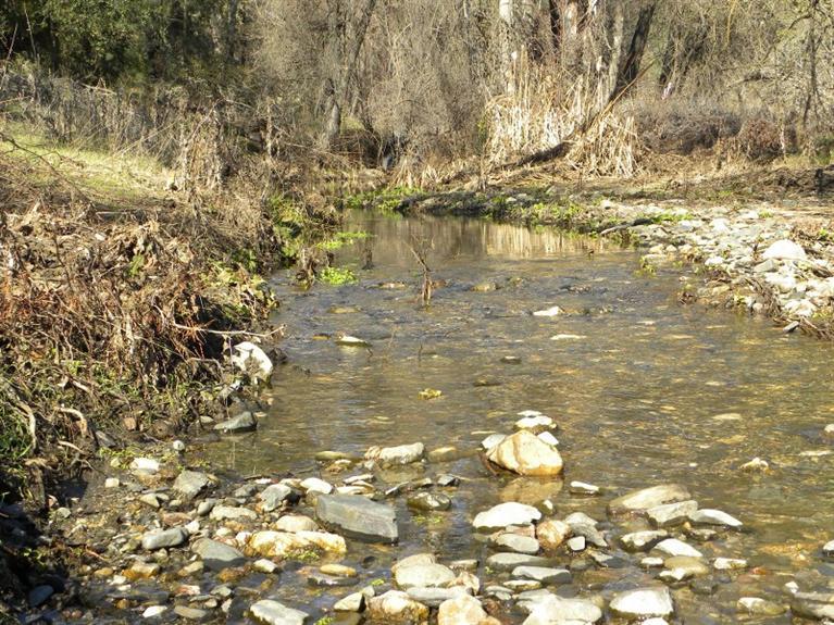 0 Buckeye Road Mariposa, CA 95338 - Photo 13 of 20 Gallery Image 13