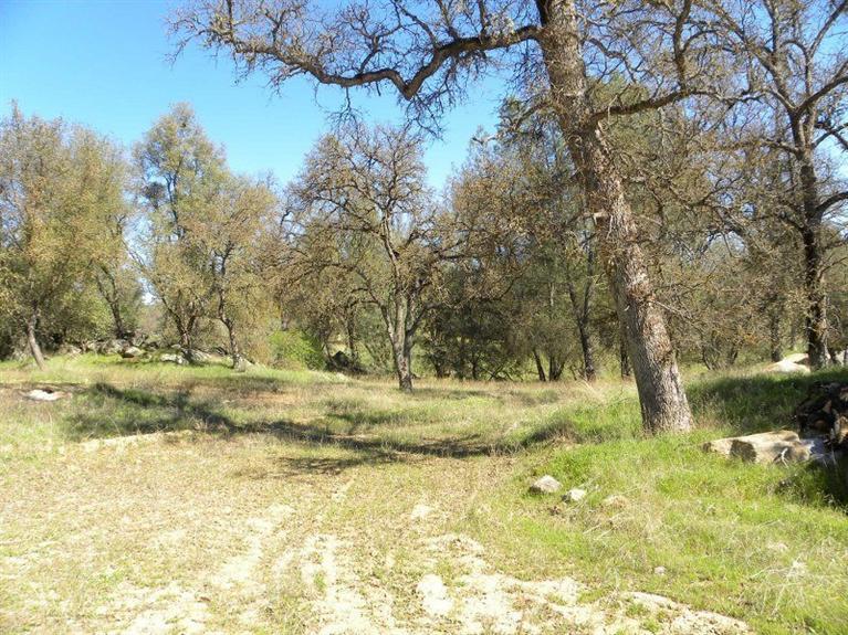 0 Buckeye Road Mariposa, CA 95338 - Photo 18 of 20 Gallery Image 18