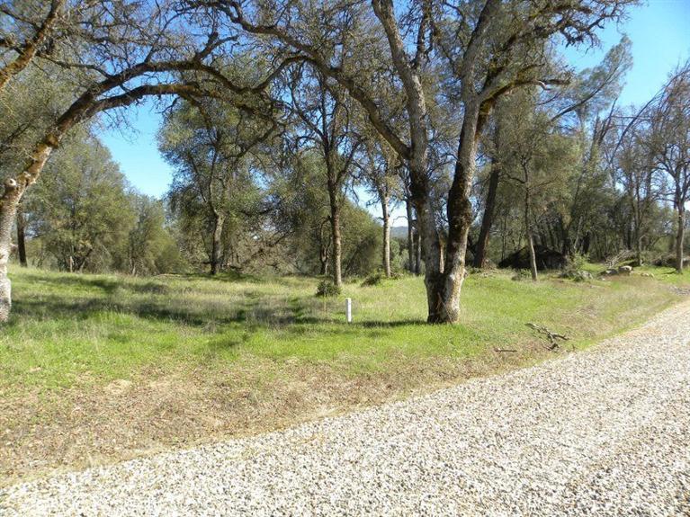 0 Buckeye Road Mariposa, CA 95338 - Photo 20 of 20 Gallery Image 20
