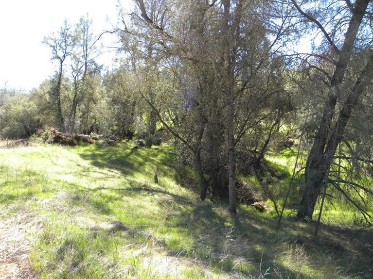 0 Buckeye Road Mariposa, CA 95338 - Photo 8 of 20 Gallery Image 8