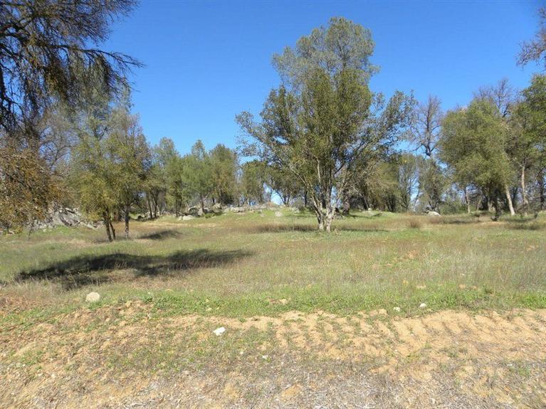 0 Buckeye Road Mariposa, CA 95338 - Photo 10 of 20 Gallery Image 10