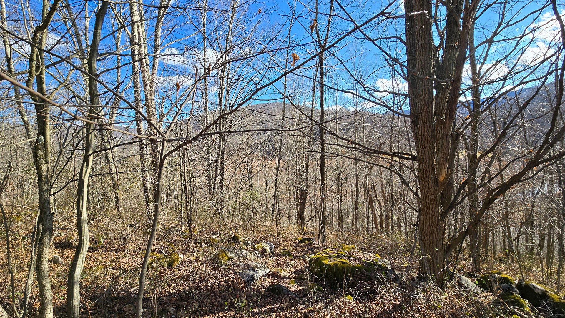 27 Acres Big Spring Slatyfork, WV 26291 - Photo 4 of 22 Potential Homesites
