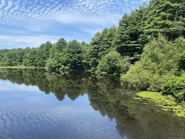 a view of a lake with a building in the background