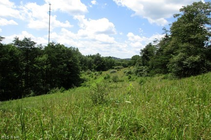 Bear Run Road Cairo, WV 26337 - Photo 8 of 10