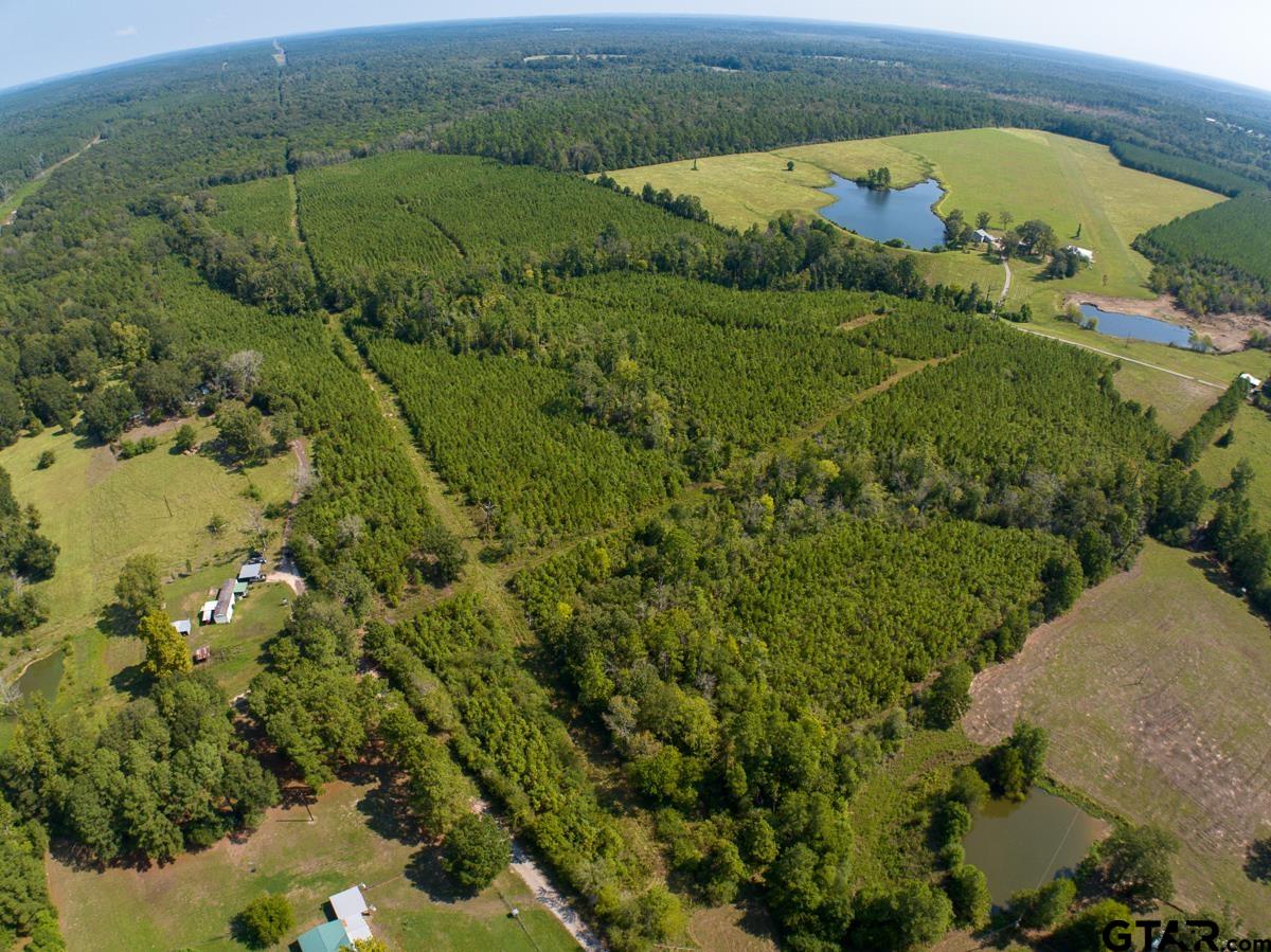 Tbd Tbd Lightfoot Road Lufkin, TX 75901 - Photo 1 of 10 Gallery Image 1