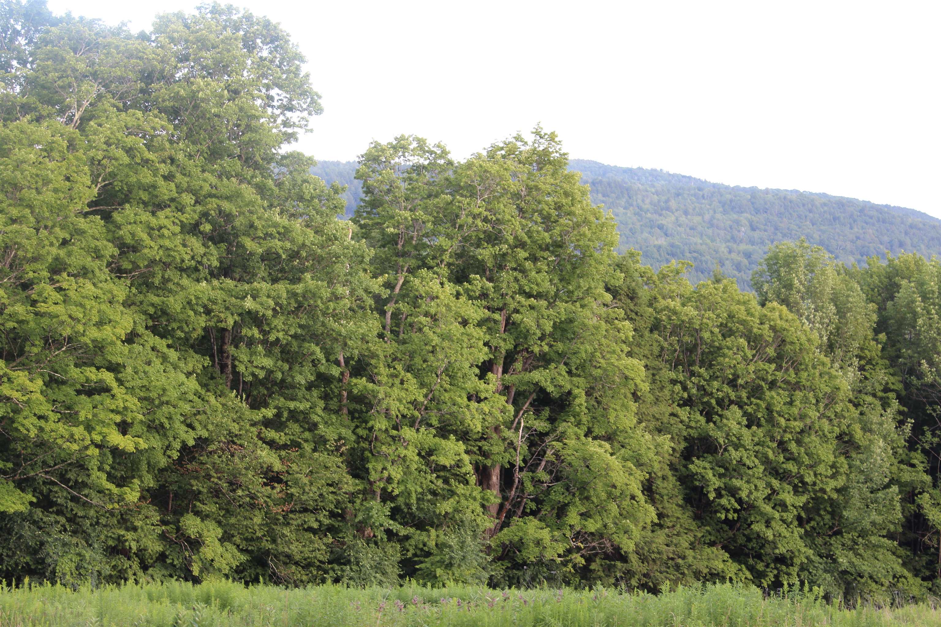 170 Clover Patch Road Quechee, VT 05059 - Photo 3 of 8 Gallery Image 3