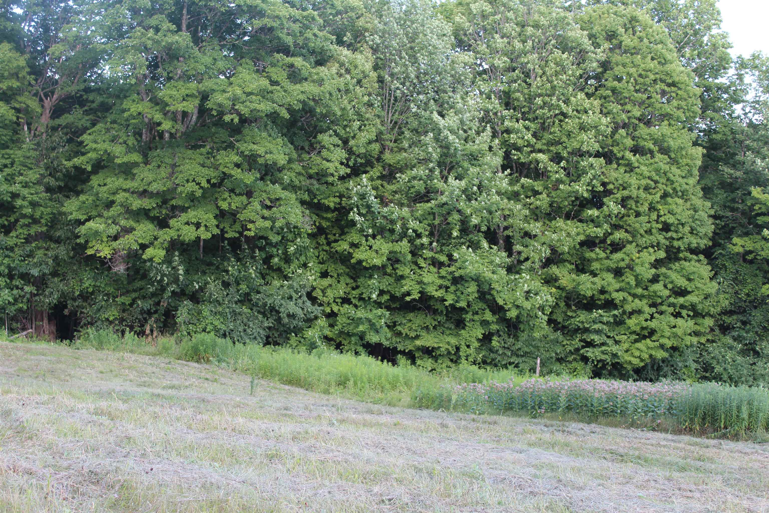 170 Clover Patch Road Quechee, VT 05059 - Photo 4 of 8 Gallery Image 4
