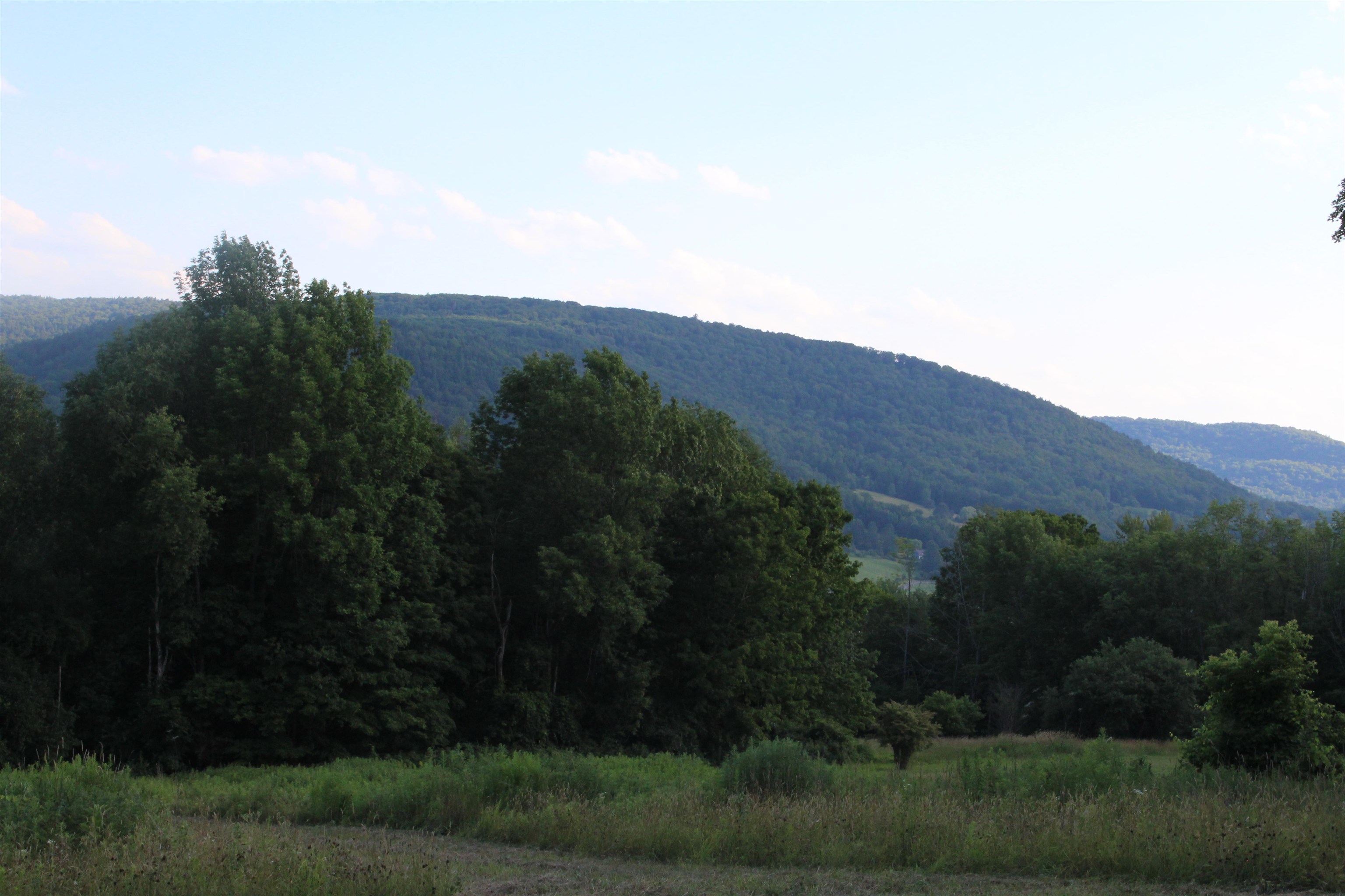 170 Clover Patch Road Quechee, VT 05059 - Photo 7 of 8 Gallery Image 7