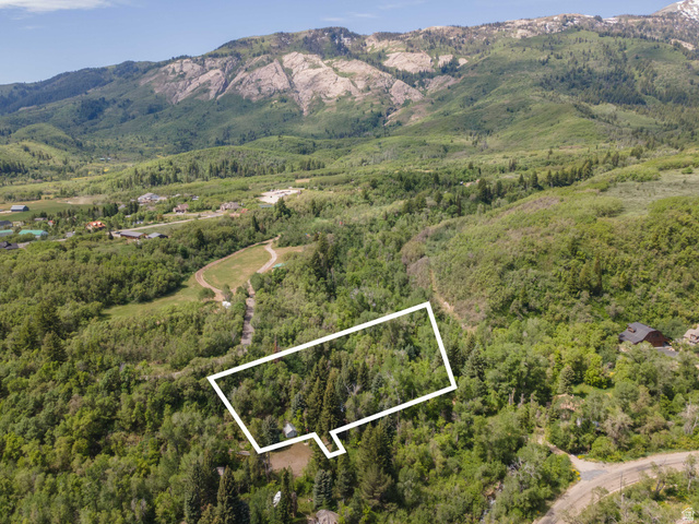 6449 North North Fork Road Eden, UT 84310 - Photo 5 of 38 Expansive wooded lot featuring mature trees and a mountain backdrop