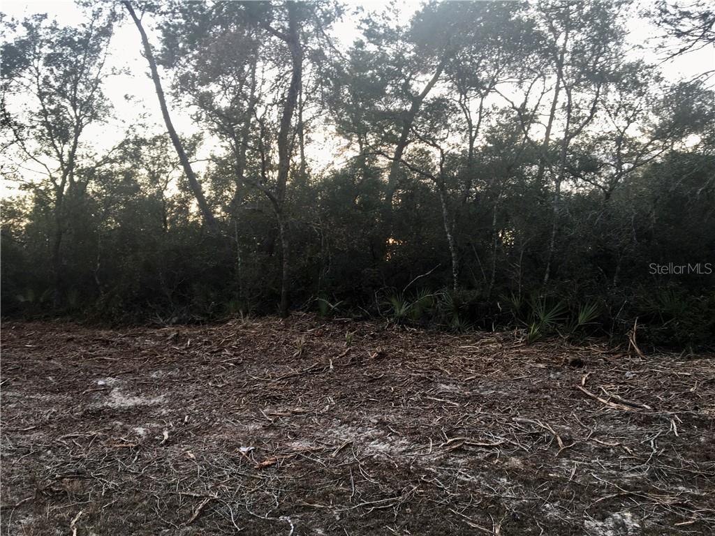 Tbd Southwest 175 Loop Ocala, FL 34473 - Photo 1 of 1