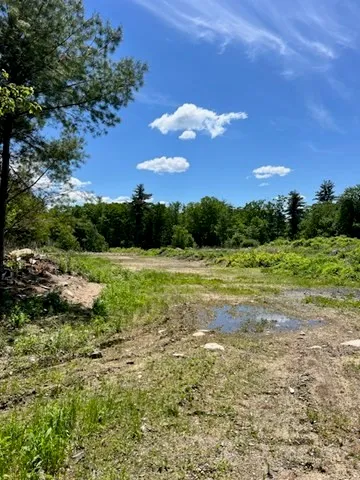 a view of a garden with an outdoor space