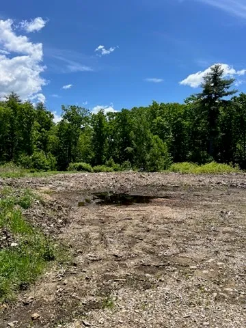 a view of a dry yard