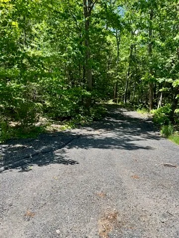a view of a swimming pool and a yard