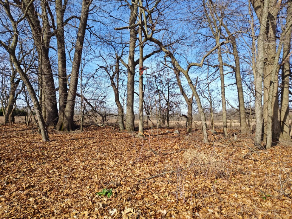 24 24 Mile Road Battle Creek, MI 49014 - Photo 37 of 56