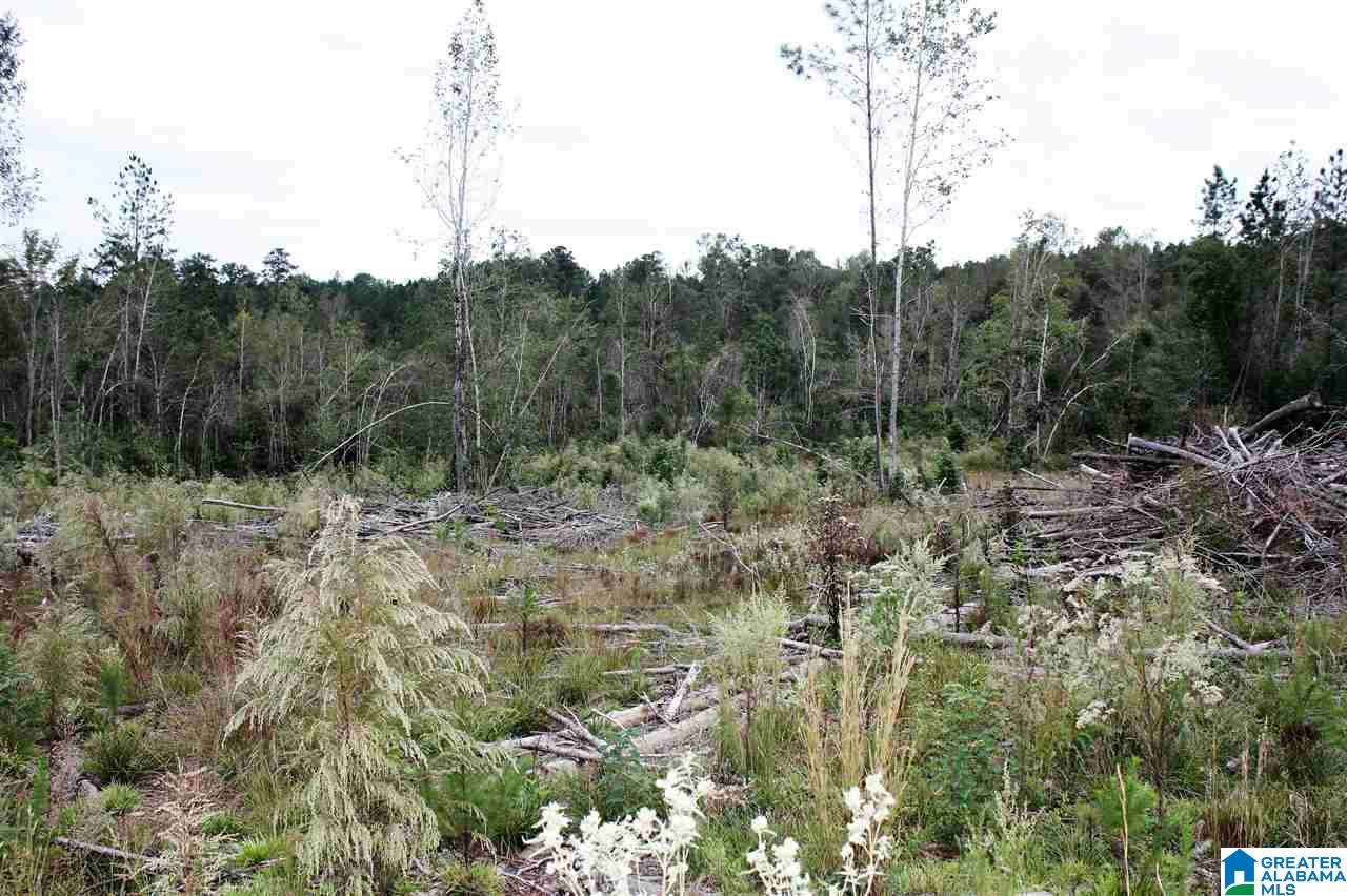 608 Cahaba Road, Unit 608 Greenville, AL 36037 - Photo 4 of 11
