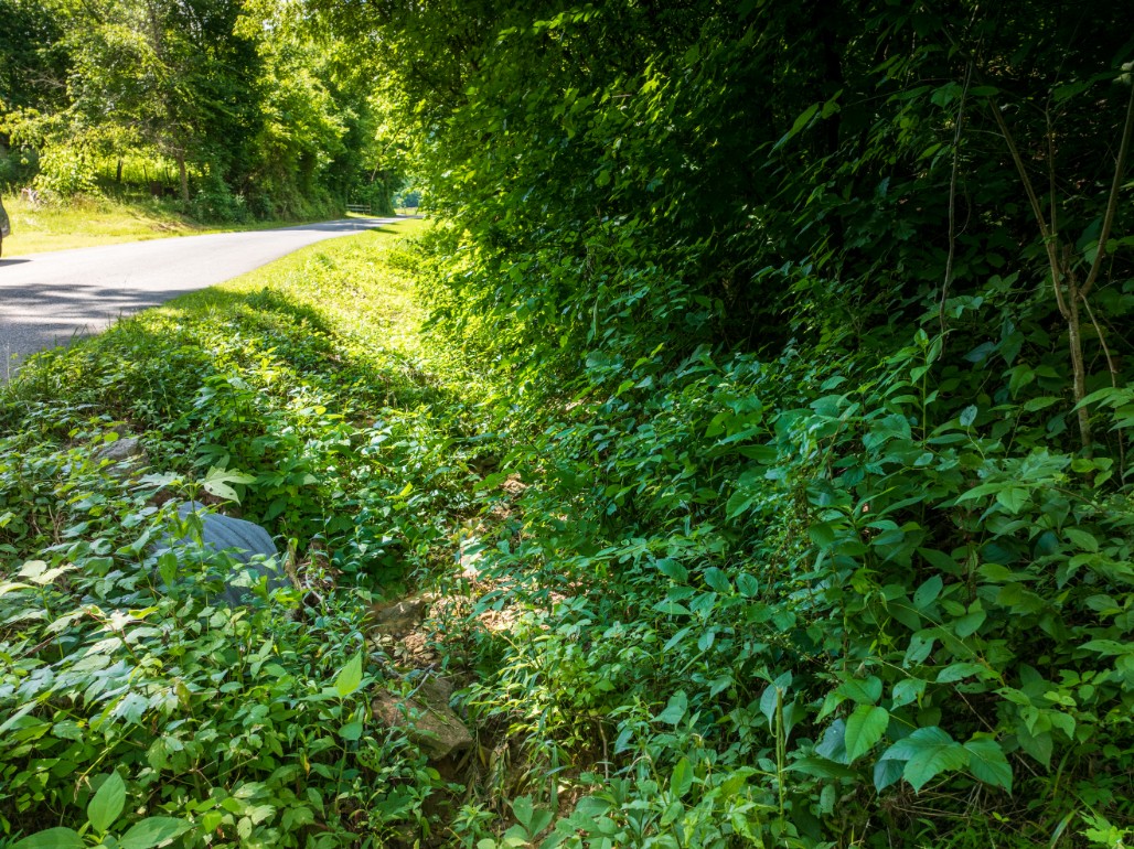 0 Round Barn Road Powder Springs, TN 37848 - Photo 29 of 40