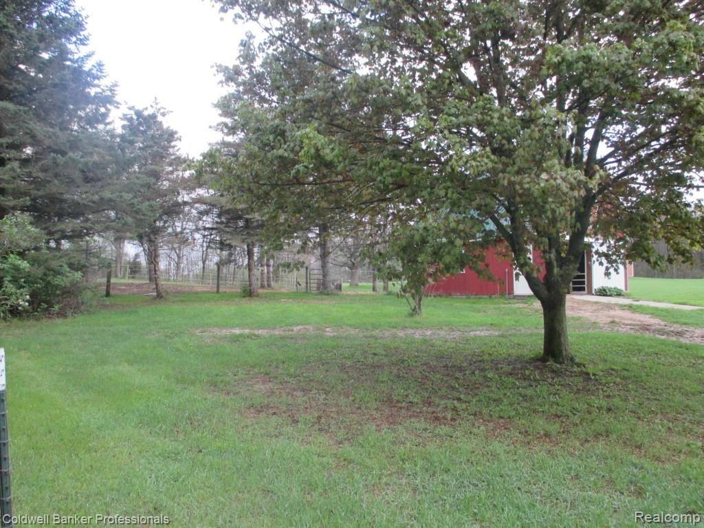 2033 Indian Road Lapeer, MI 48446 - Photo 12 of 55 2033 Pasture.jpg