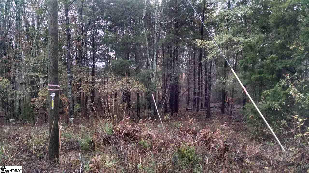 0 Knickerbocker Road Fountain Inn, SC 29644 - Photo 1 of 6