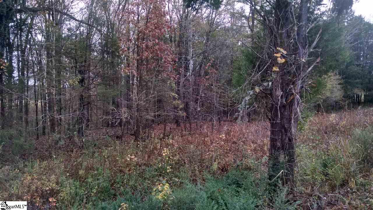 0 Knickerbocker Road Fountain Inn, SC 29644 - Photo 2 of 6