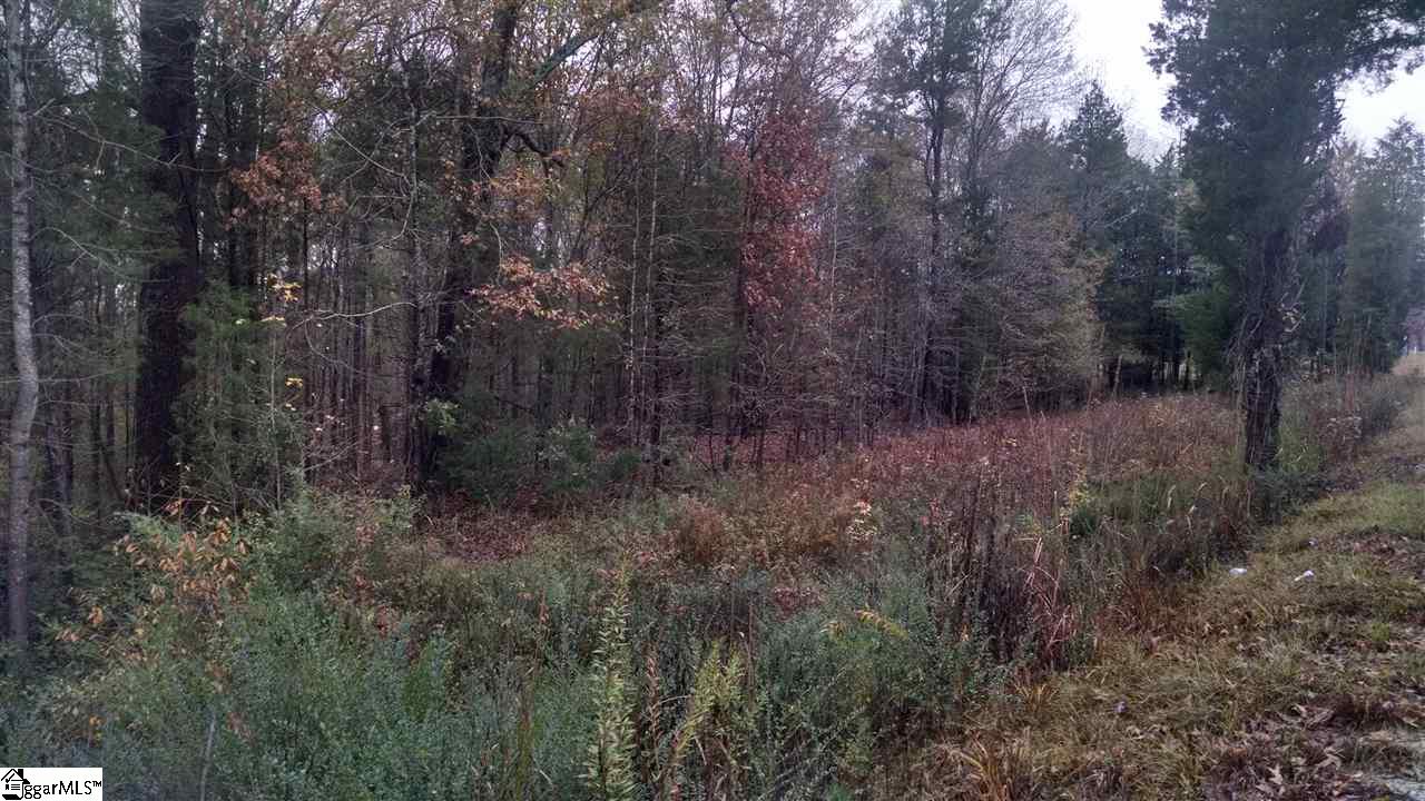 0 Knickerbocker Road Fountain Inn, SC 29644 - Photo 3 of 6