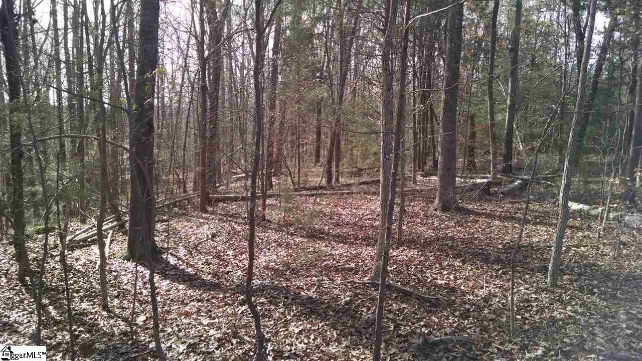 0 Knickerbocker Road Fountain Inn, SC 29644 - Photo 4 of 6