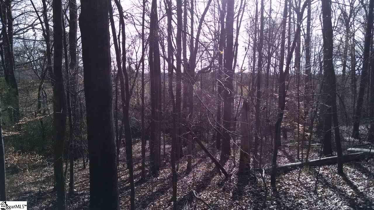 0 Knickerbocker Road Fountain Inn, SC 29644 - Photo 5 of 6