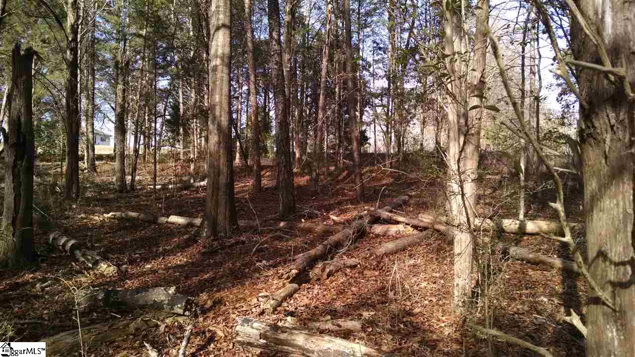 0 Knickerbocker Road Fountain Inn, SC 29644 - Photo 6 of 6