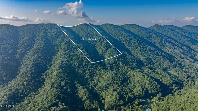 $199,500 | Tbd Mendota Road, Mendota, VA 24270