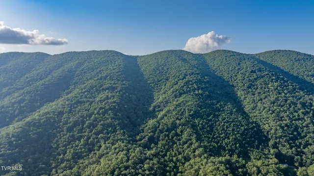 $199,500 | Tbd Mendota Road, Mendota, VA 24270