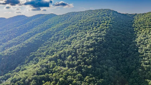 $199,500 | Tbd Mendota Road, Mendota, VA 24270