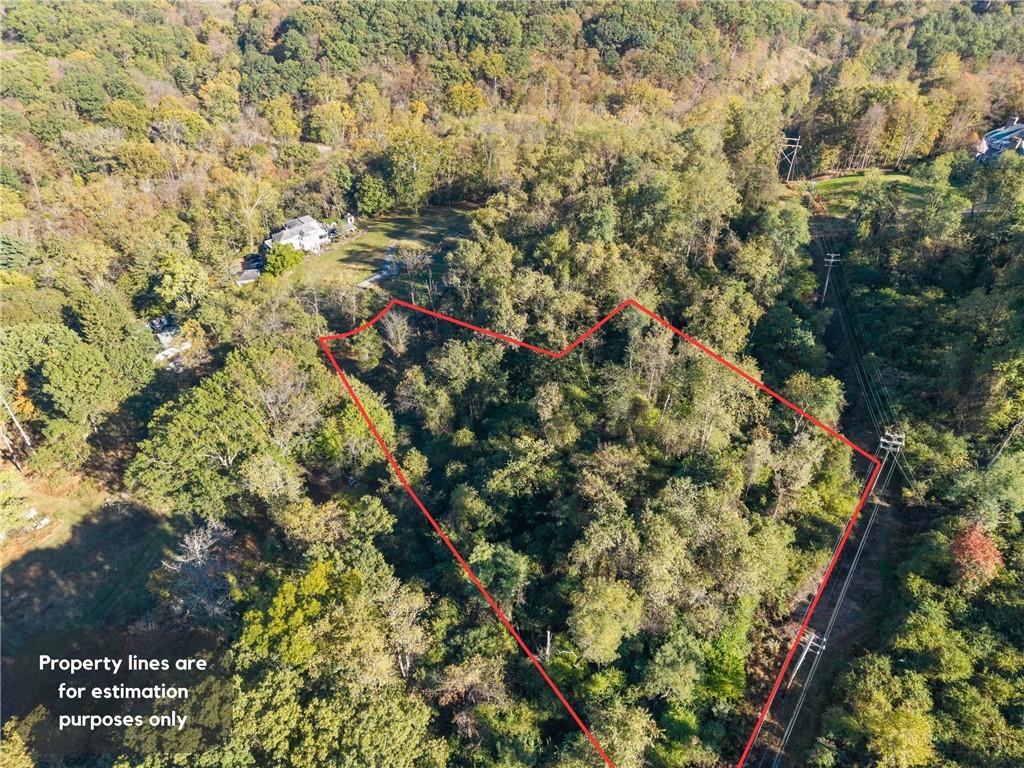 a view of a tree with a tree