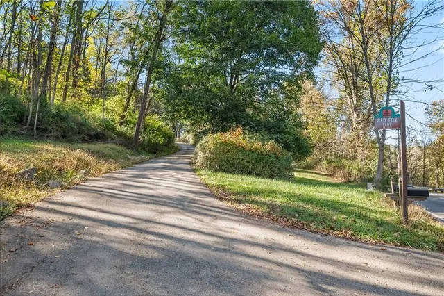a view of garden with trees