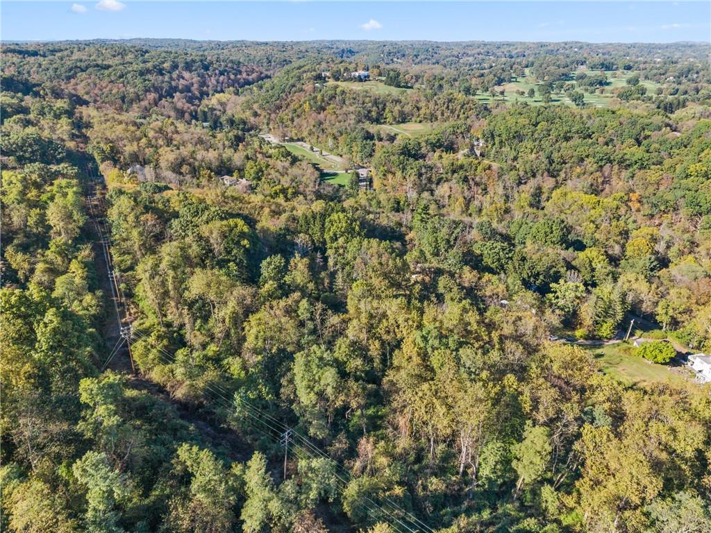 207 Red Fox Lane Pittsburgh, PA 15238 - Photo 2 of 13 an aerial view of forest