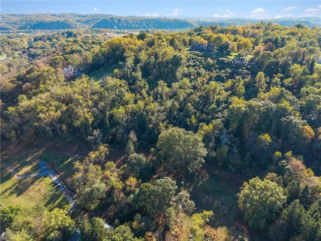 a view of a city with lots of trees