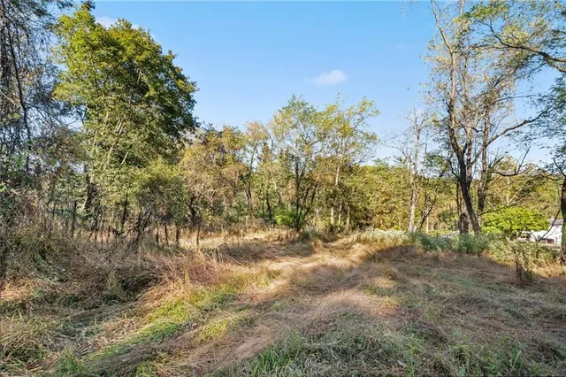 a view of a yard with trees