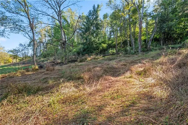 a view of a yard with plants and trees