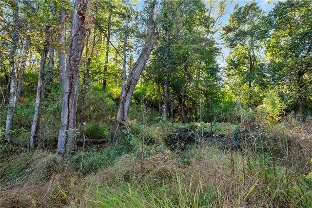 a view of backyard with green space